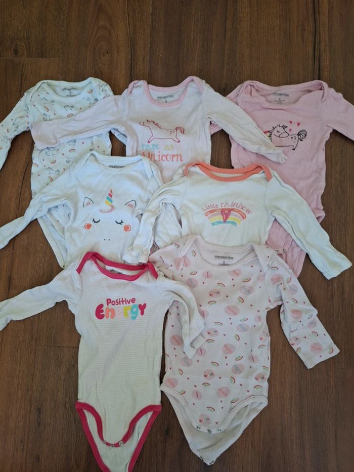 Lot 7 bodies