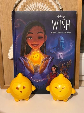 Asha et la bonne étoile l’histoire du film