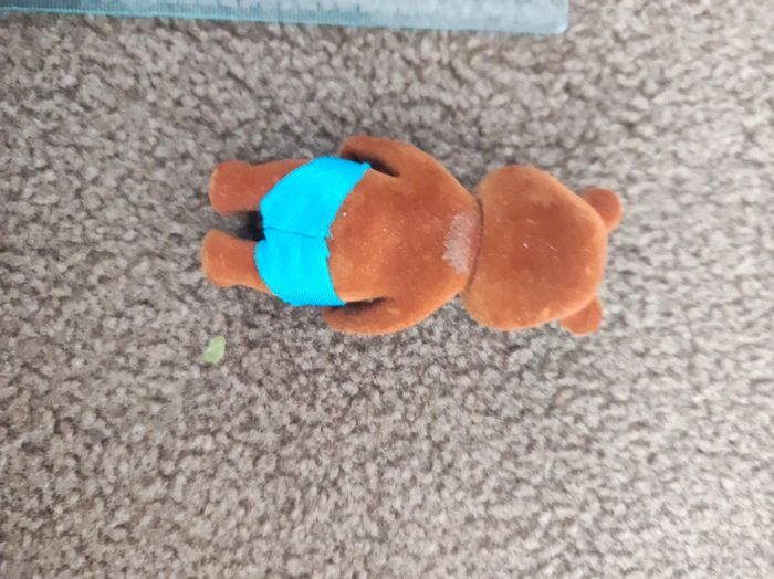 ours petit malin - photo numéro 3