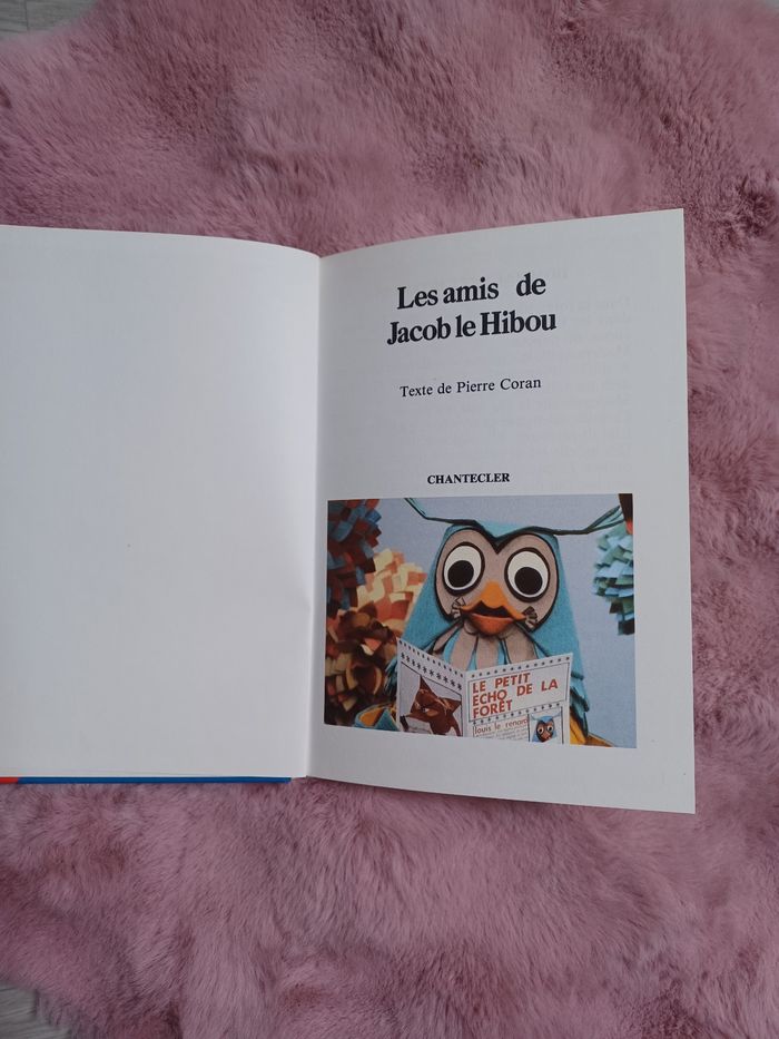 Livre Le petit écho de la forêt: les amis de Jacob le hibou - photo numéro 2