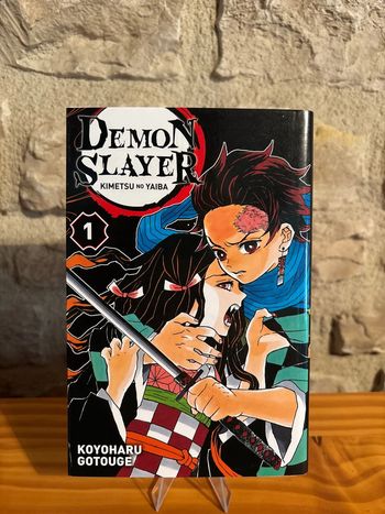 Démon slayer tome 1