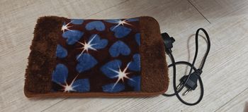 Bouillotte électrique 