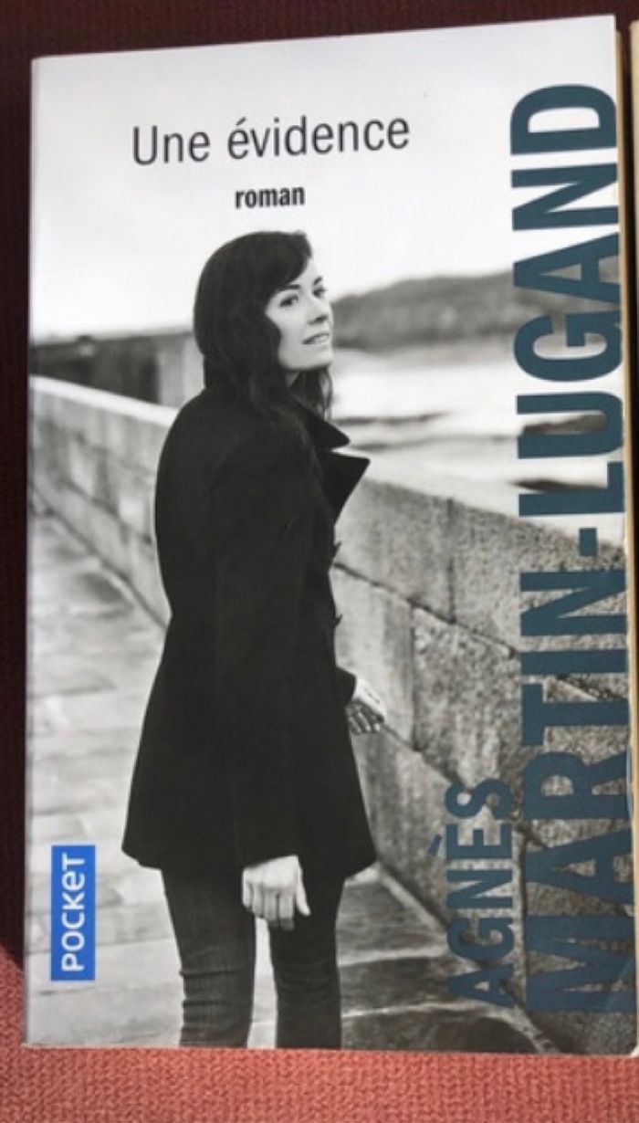 Agnès Martin lugand