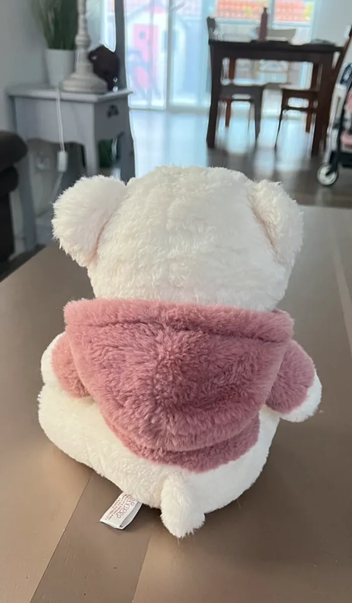 Nounours à capuche - photo numéro 3