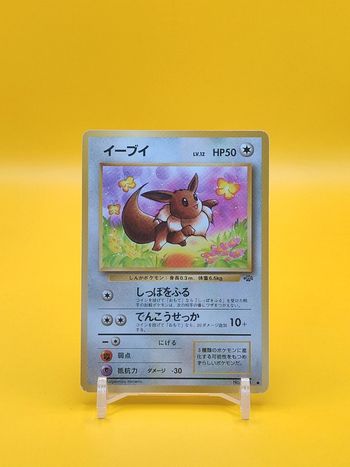 Pokémon Evoli bloc wizards Jungle