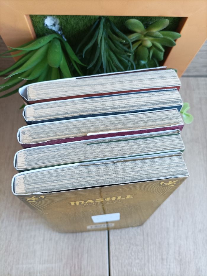 Lot 5 mangas Mashle numéro 1 à 5 kaze - photo numéro 3