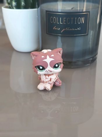Littlest Pet Shop #1761 pink purple persian cat (mold 2)