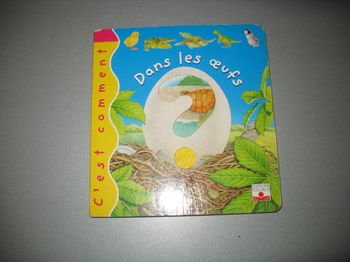 LIVRE : C'EST COMMENT DANS LES ŒUFS "ÉDITIONS FLEURUS" - n°25