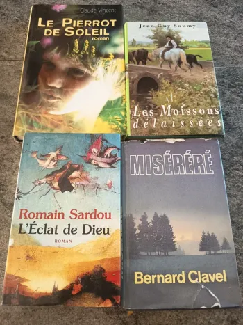 Lot 4 fiction contemporaine édition France loisirs