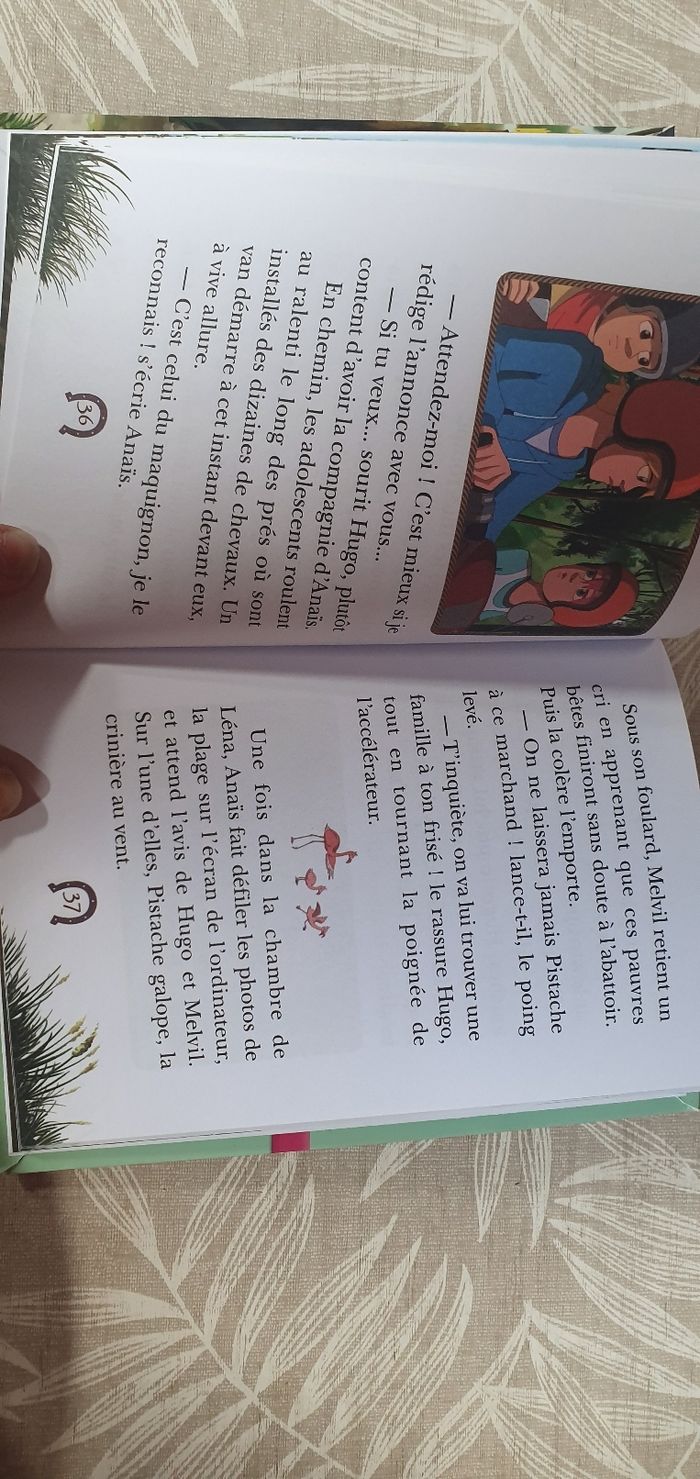 Le ranch un cheval très spécial - photo numéro 3