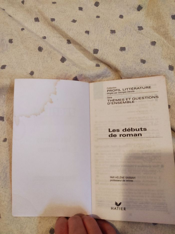 Les Débuts de roman - photo numéro 5