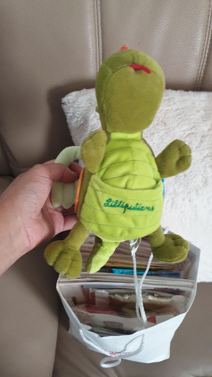 Dragon lilliputiens - photo numéro 3