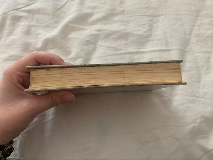 Roger Martin du Gard Les Thibault IV - l’été 1914 - photo numéro 4