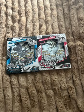 Classeur 10.5 au choix