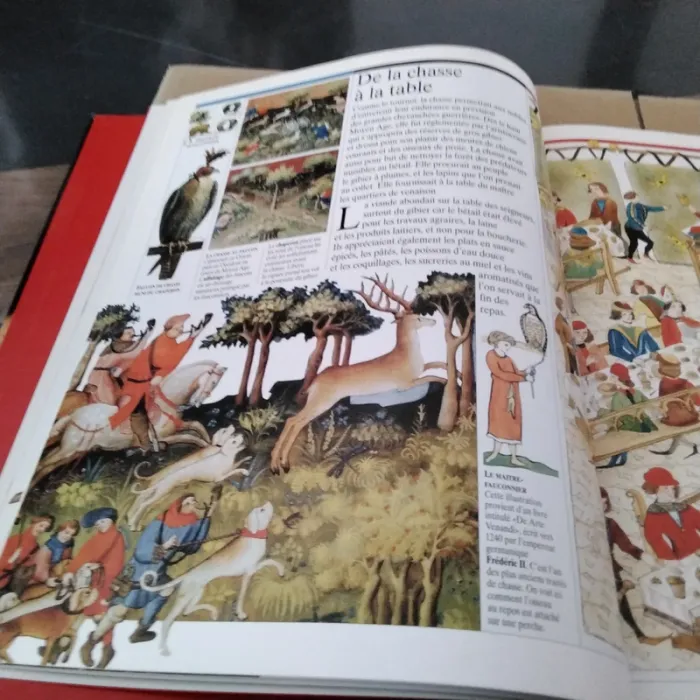 A l’ ombre des châteaux forts Gallimard Larousse - photo numéro 12