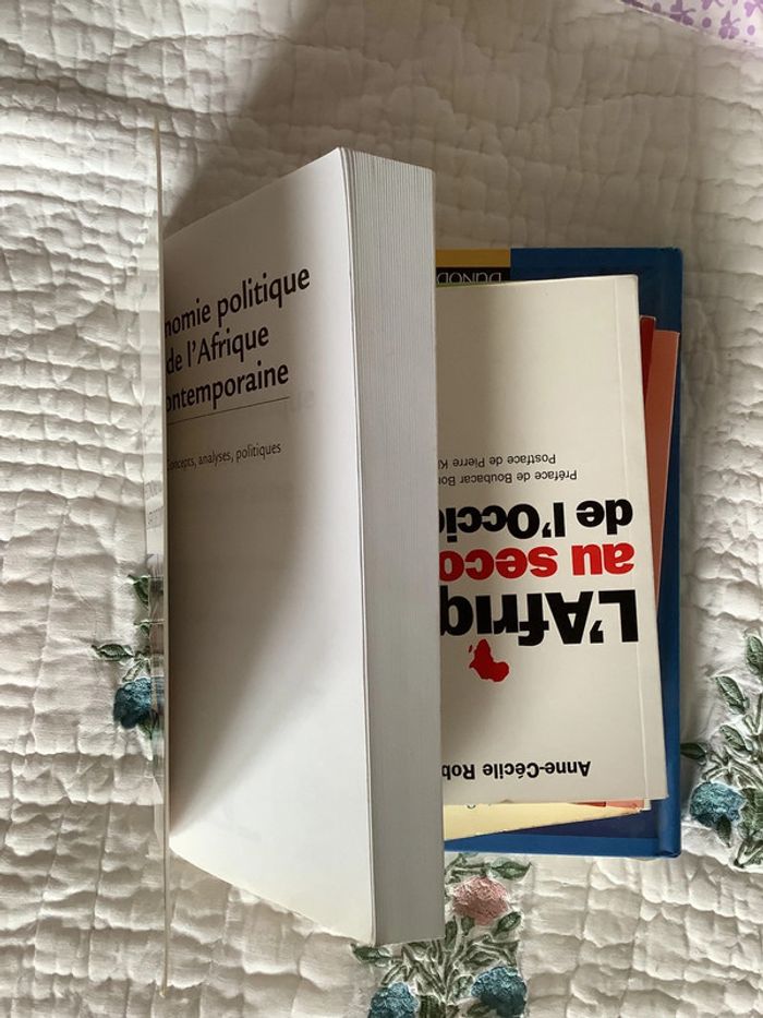 Économie politique de l’Afrique contemporaine - photo numéro 10