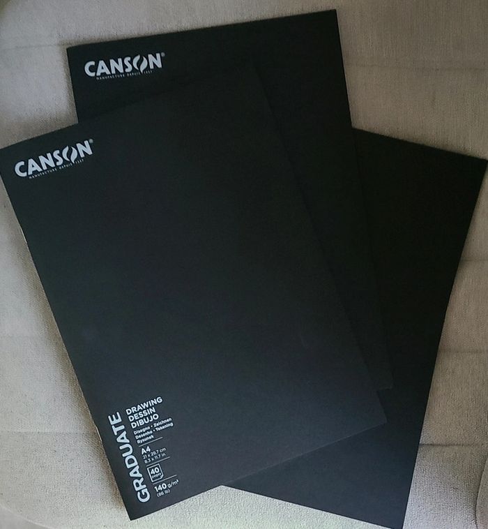 Lot de 3 carnets de dessin Canson Neuf