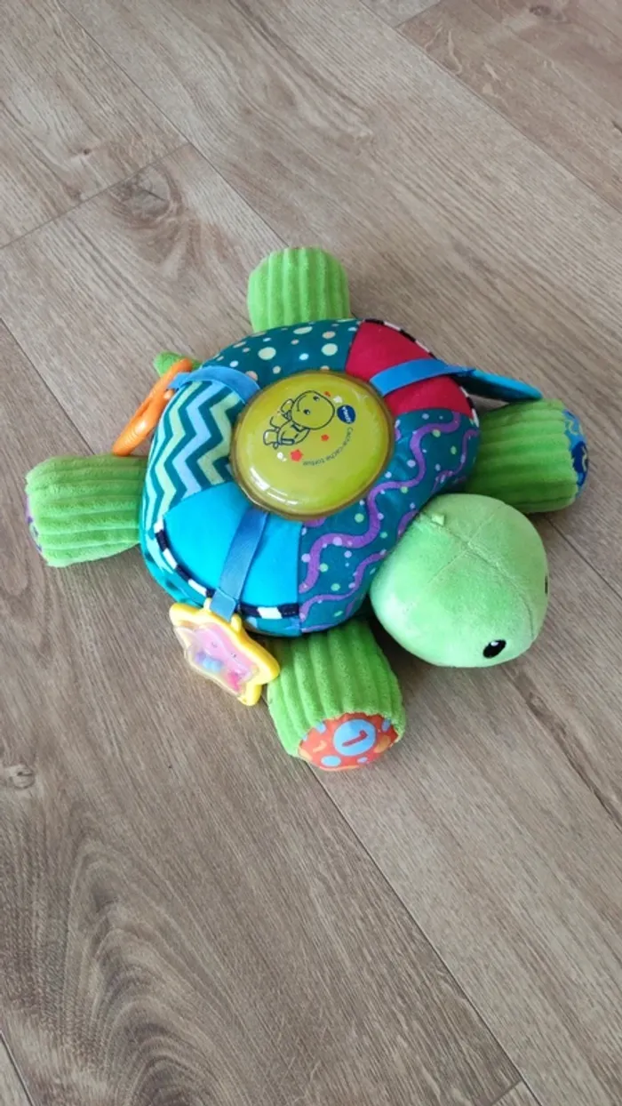 Cache-cache tortue