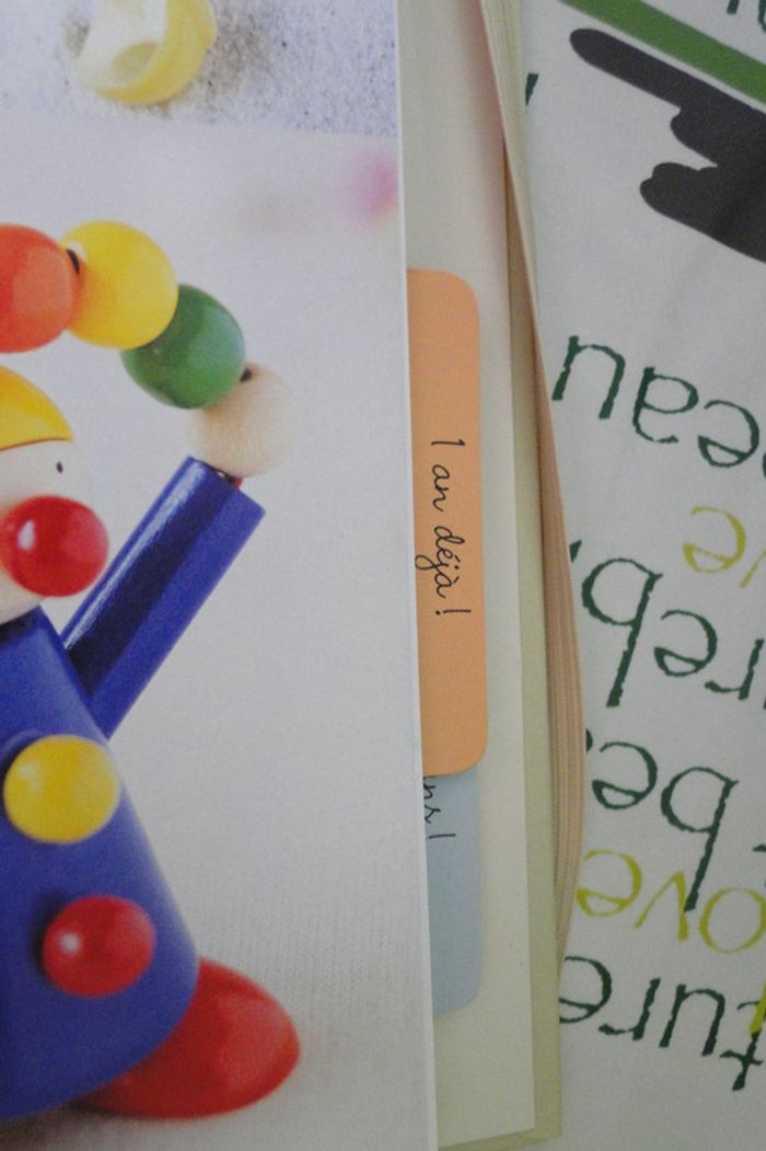 livre de naissance bébé neuf - photo numéro 4