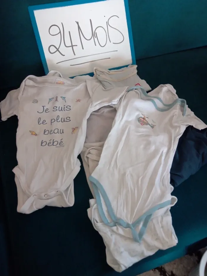Lot 10 body manches courtes 24mois - photo numéro 5