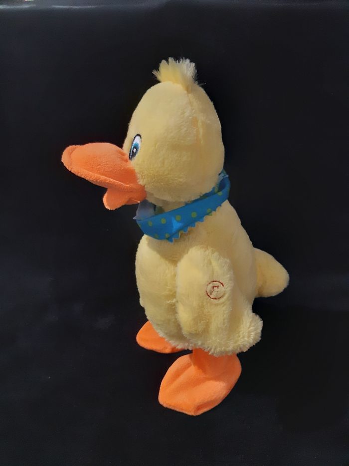 Canard chante et danse - photo numéro 2