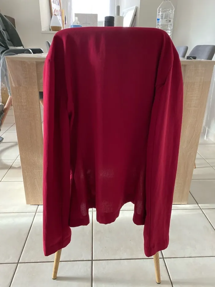 Veste bordeaux - photo numéro 3