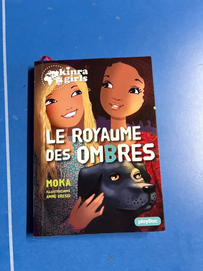 Le royaume des ombres