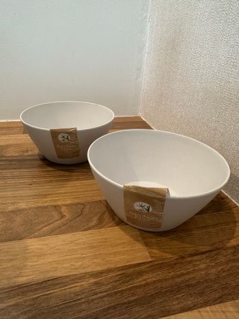 Lot de 2 bols / ramequins neufs 