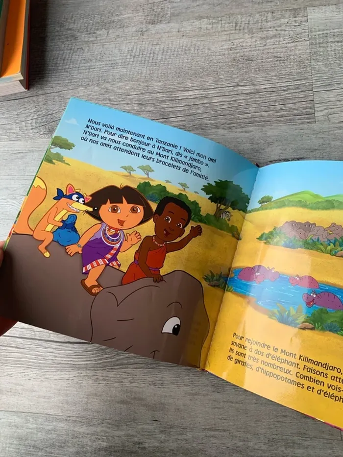 Le tour du monde de dora - photo numéro 3