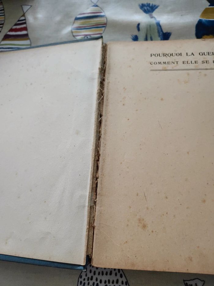 pourquoi la guerre. Comment elle se fait. - photo numéro 3
