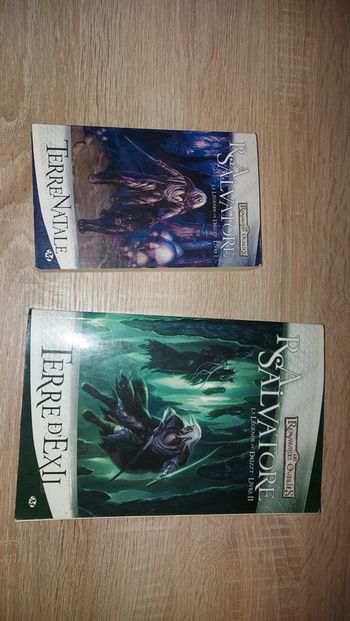 La légende de Drizzt