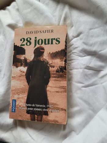 28 jours David Safier