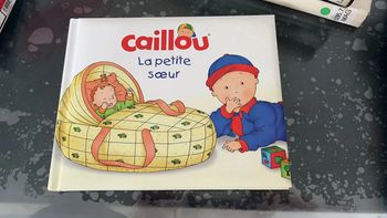 Livre caillou