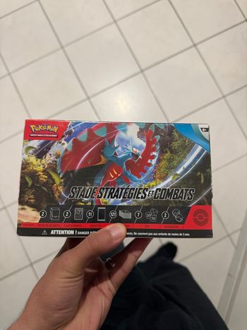 Pokémon Stade stratégies et combat Faille paradoxale - EV.04