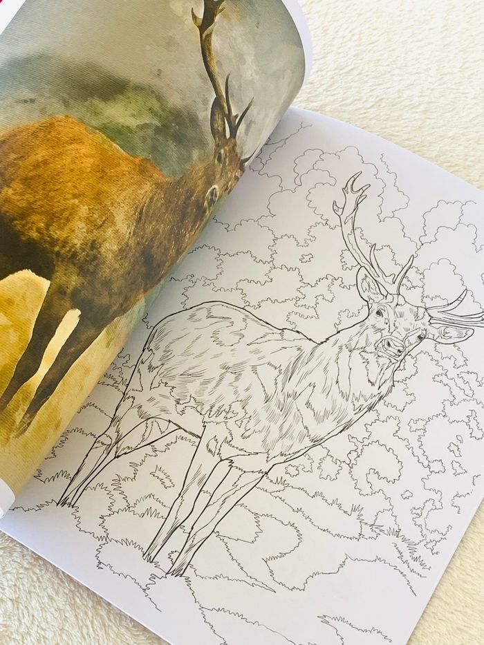 Cahier de coloriage de animaux Craft Universe - photo numéro 5