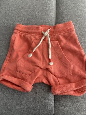 Short zara