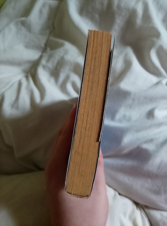 Eagle - photo numéro 3