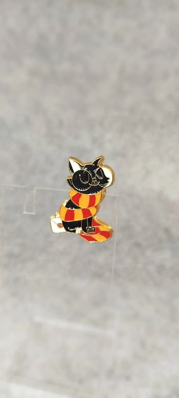 🍄 pin's chat à lunettes