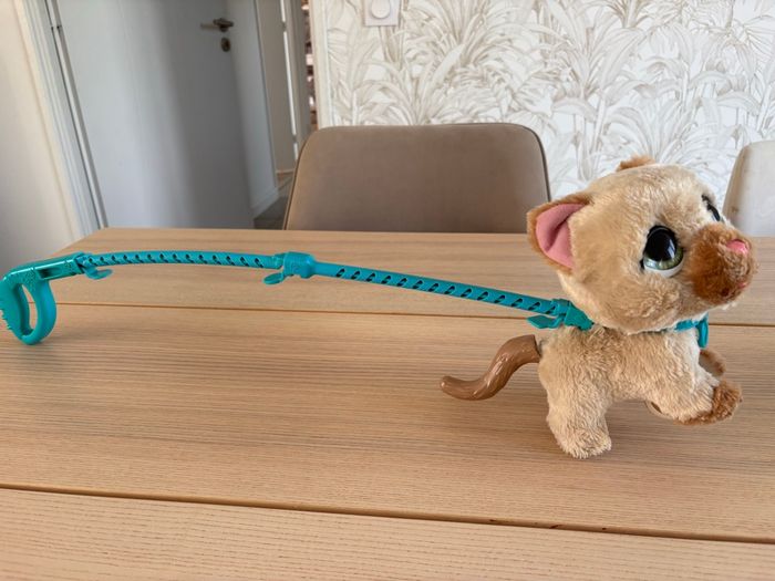Mon chaton marcheur FurReal - photo numéro 4