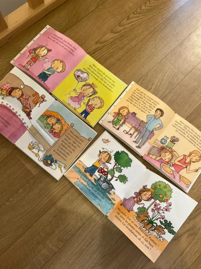 Livres Princesse parfaite - photo numéro 3