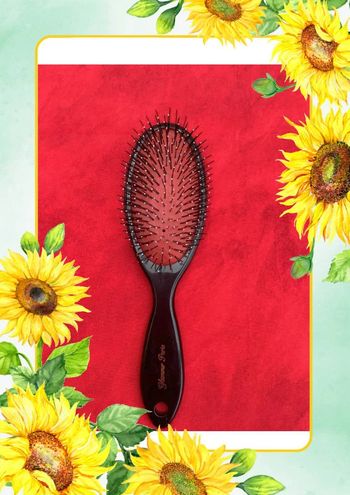 Brosse noir Glamour Paris