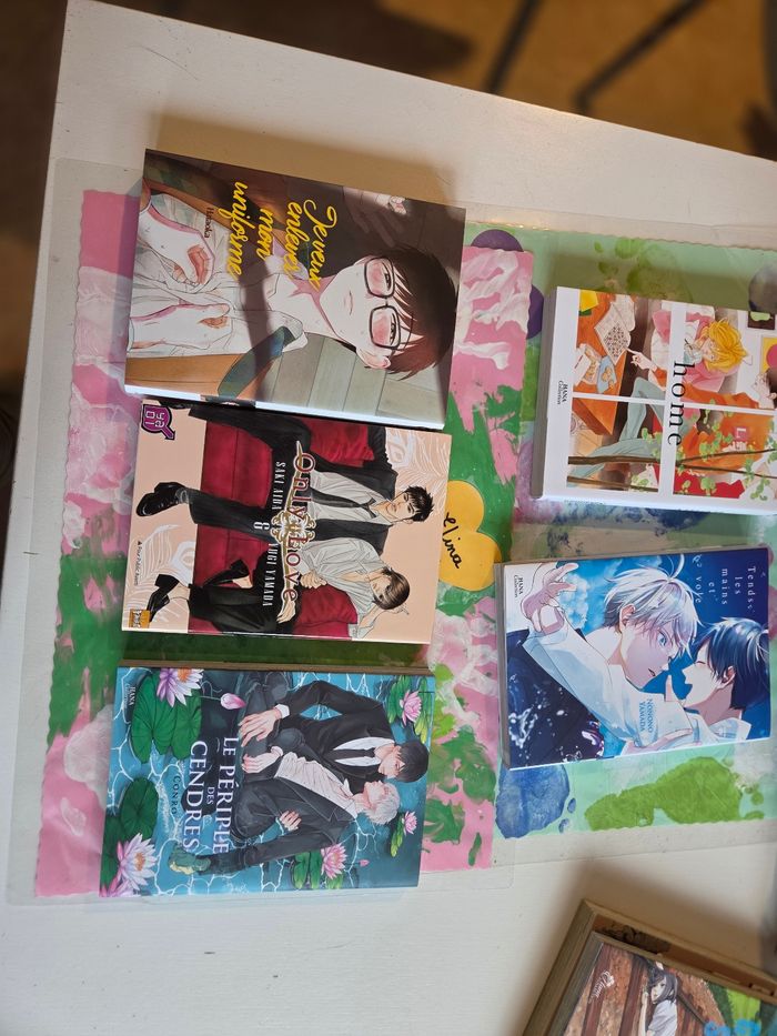 Manga yaoi aux choix 2