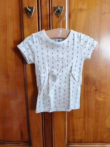 Lot 2 tee shirts petit bateau