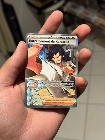 Pokémon Entraînement de Karatéka 255/217 ME.2.5 - Héros Transcendants