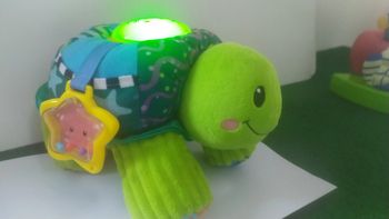 tortue interactive '' cache cache tortue '' des 9 mois vtech