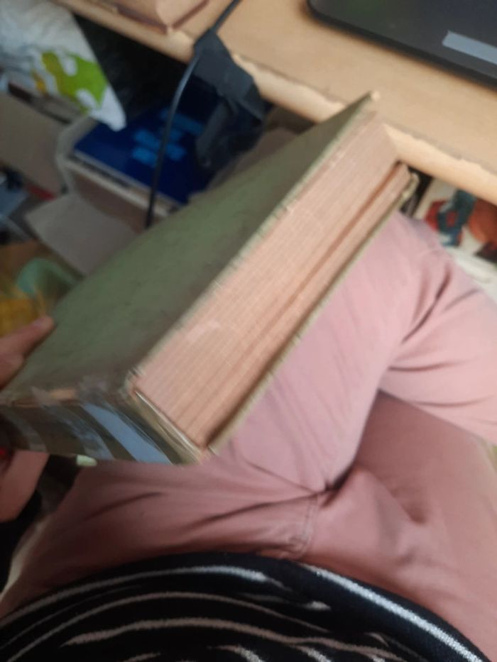 Livre en allemand allemand duchs verbotene land p h - photo numéro 4