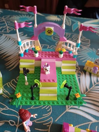 Lego friens  concours canin