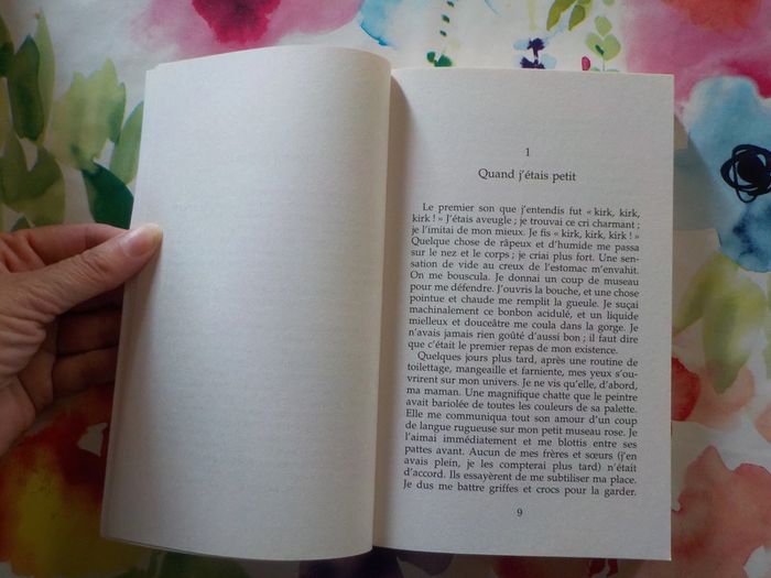 Les fantastiques aventures de Surcouf de Christine Lacroix Ed. France Loisirs - photo numéro 6