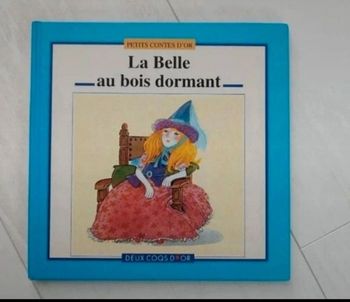 Livre LA BELLE AU BOIS DORMANT