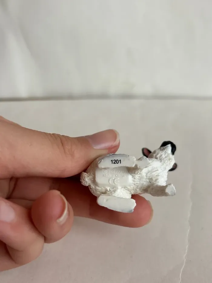 Lapin papo - photo numéro 4
